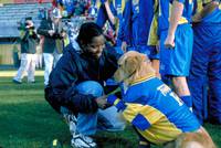 Кадр Король воздуха: Лига чемпионов (видео)