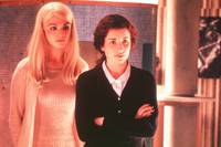 Кадр Красивые существа