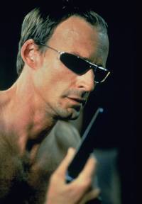 Кадр Скоростной Гари