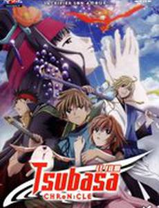 Хроника крыльев: Принцесса страны птичьей клетки