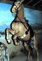 Триггер фото