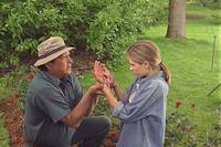 Кадр Вас не догонят