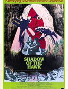 Тень ястреба