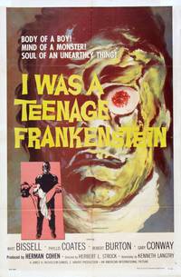 Постер Я был молодым Франкенштейном