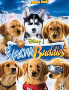 Снежная пятерка (видео)