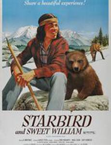 Starbird and Sweet William