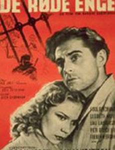 Красные луга