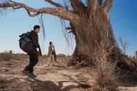 Кадр Искатели приключений