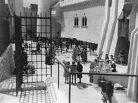 Кадр Вечерние посетители