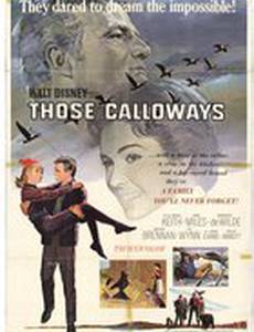 Ох, уж эти Кэллоуэйзы