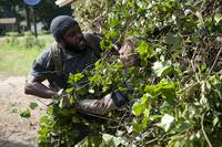 Кадр Ходячие мертвецы