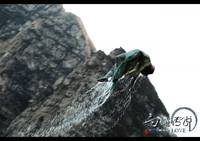 Кадр Чародей и Белая змея