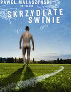 Крылатые свиньи