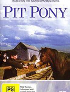 Pit Pony