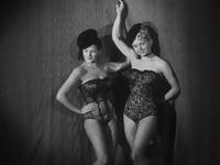 Кадр Собачья жизнь