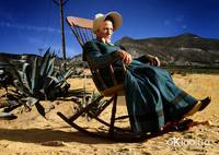 Кадр Великолепная четверка