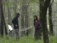 Кадр Спящий лес