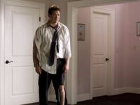 Кадр Месть пушистых