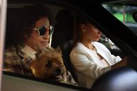 Кадр Дублер