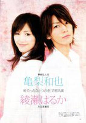 Любовь моей жизни (мини-сериал)