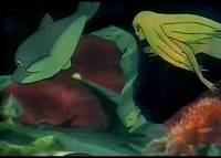 Кадр Принцесса подводного царства