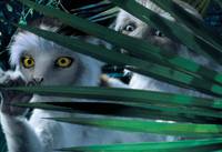 Кадр Динозавр