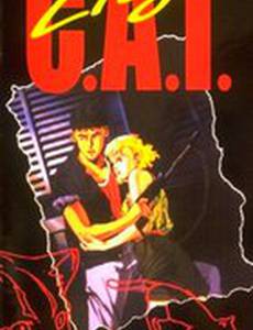 Кошка по имени Лили