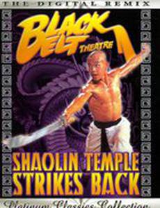 Храм Шаолинь наносит ответный удар