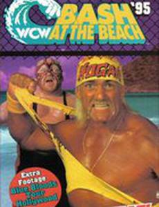 WCW Разборка на пляже
