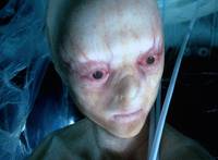 Кадр Шестой день