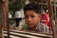 Кадр Весёлые каникулы