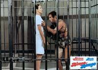 Кадр Бинго Бонго