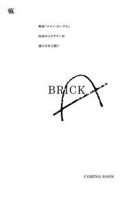 Постер Кирпич