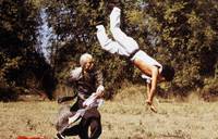 Кадр Бесстрашная гиена