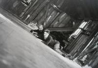 Кадр Золотая лихорадка