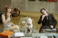 Кадр Генсбур. Любовь хулигана