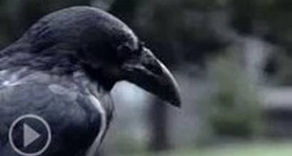 Вступительные титры