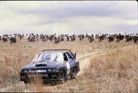 Кадр Сафари 3000