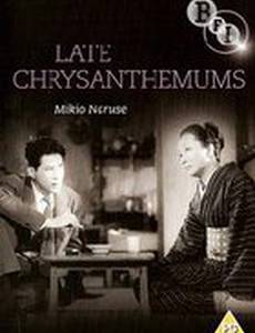 Поздние хризантемы