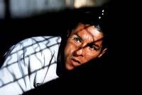 Кадр Осиное гнездо