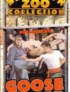 Гусь-боксёр