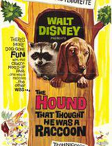 Собака, которая думала, что была енотом