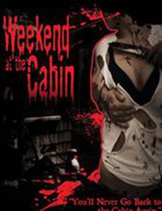 Weekend at the Cabin