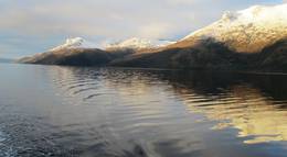 Кадр из фильма "Перламутровая пуговица" - 1