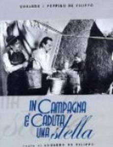 In campagna è caduta una stella