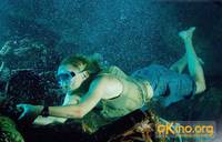 Кадр Золото дураков