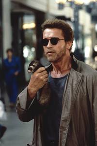 Кадр Детсадовский полицейский