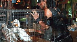 Кадр из фильма "Генное поколение" - 1