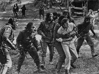 Кадр Битва за планету обезьян