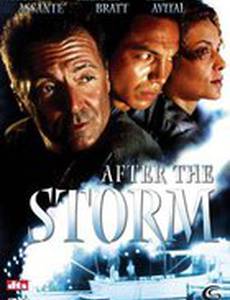 После шторма